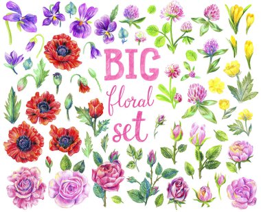 Harika çiçek seti.. 