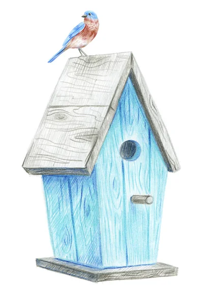 Uccellino blu siede su una casetta isolata su uno sfondo bianco — Foto Stock