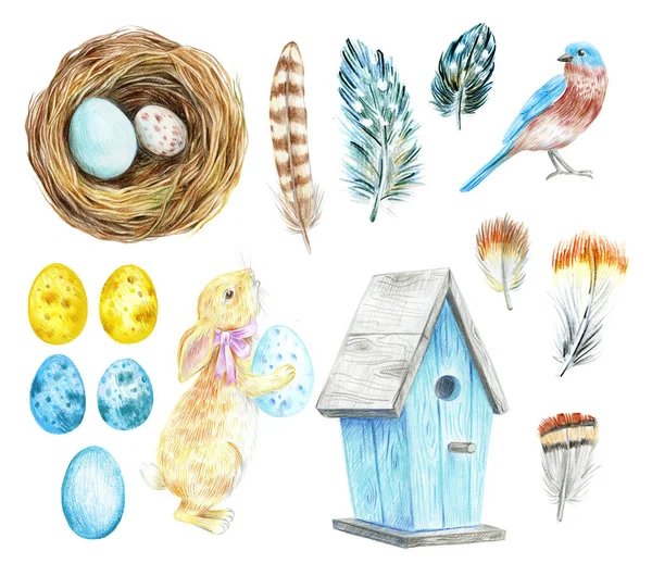 Nest with eggs, birdhouse, rabbit and feathers. — Stock Photo, Image