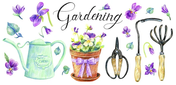 园艺工具和紫罗兰 花盆等 让园林绿化 铅笔草图 — 图库照片