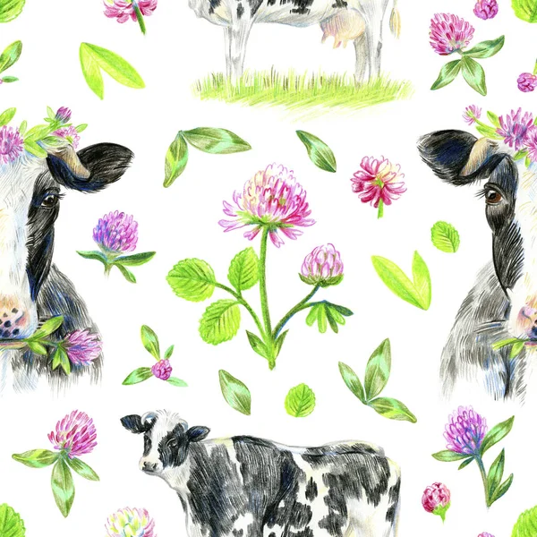 无缝隙的图案 白色背景上有奶牛和三叶草 铅笔草图 — 图库照片