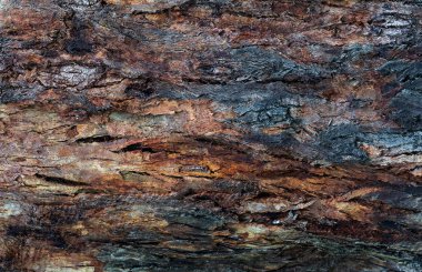 Eski boya tahtası, seçici odak