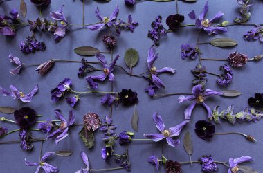 Mor arkaplanda renkli çiçekler, seçici odak