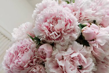 Pembe peonies, seçici odak
