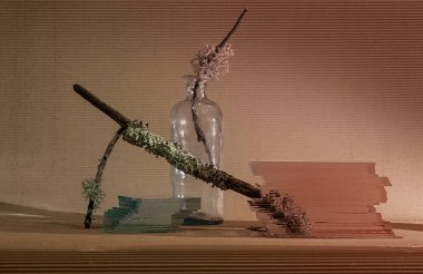 Cam, taş ve kuru çiçeklerin geometri bileşimi