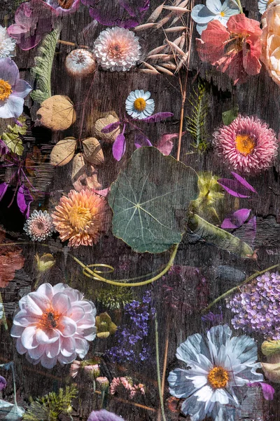 Tahta Masada Çiçekler Çoklu Pozlama Seçici Odak — Stok fotoğraf