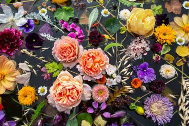 Multicolor summer flowers on a sunny day ,top view