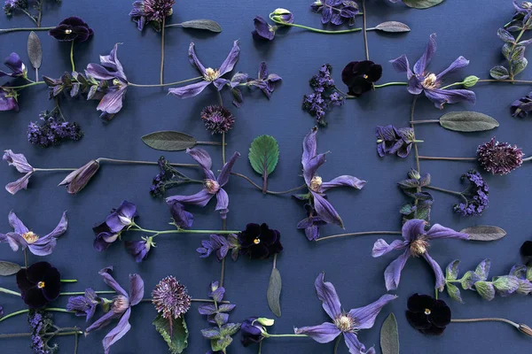Flores Folhas Multicoloridas Papel Azul — Fotografia de Stock