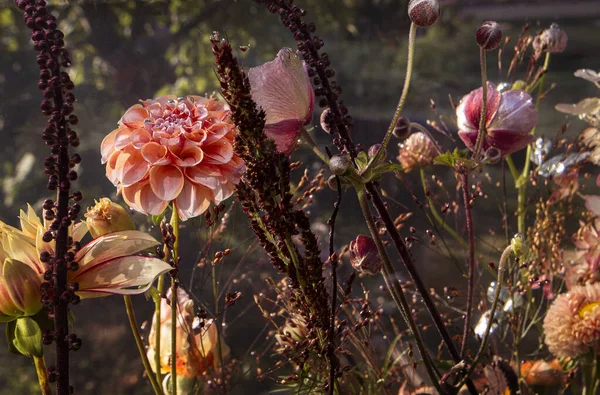 水中不同的花朵 有选择的焦点 — 图库照片