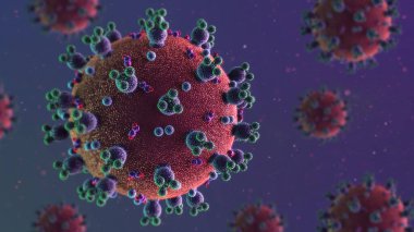 covid 19 koronavirüs 3 boyutlu görüntüleme