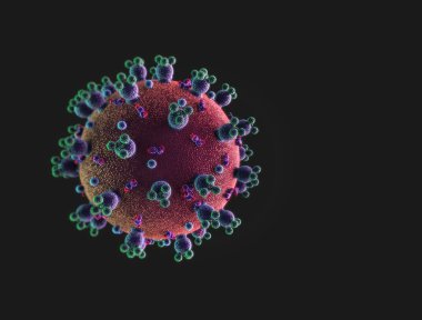 covid 19 koronavirüs 3 boyutlu görüntüleme