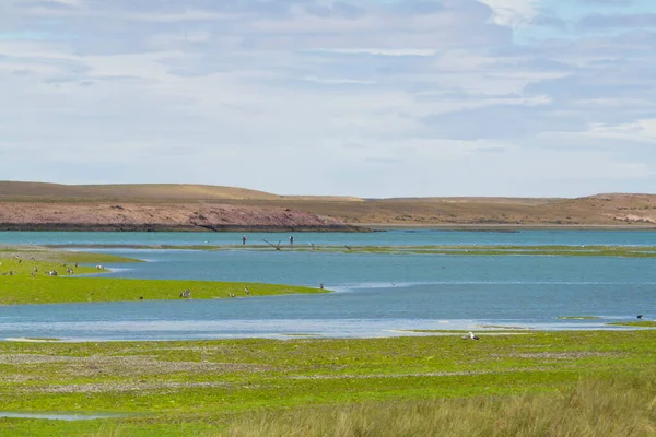 Vista Del Río Deseado Desde Costa Sur Pocos Kilómetros Tierra —  Fotos de Stock