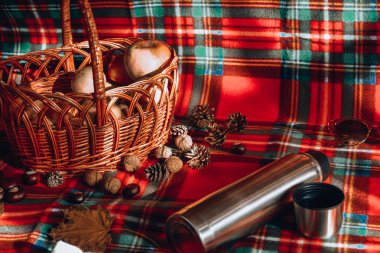 Termos sepetindeki sebzeler kırmızı arka plandaki sonbahar pikniğinde fındık kitapları. 