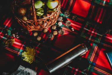 Termos sepetindeki sebzeler kırmızı arka plandaki sonbahar pikniğinde fındık kitapları. 