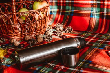 Termos sepetindeki sebzeler kırmızı arka plandaki sonbahar pikniğinde fındık kitapları. 