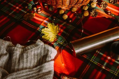 Termos sepetindeki sebzeler kırmızı arka plandaki sonbahar pikniğinde fındık kitapları. 