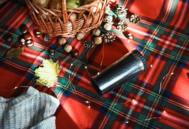 Termos sepetindeki sebzeler kırmızı arka plandaki sonbahar pikniğinde fındık kitapları. 