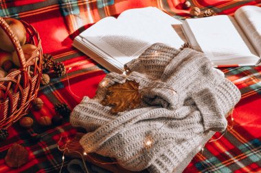 Sonbahar bahar bahar süveter sepetinde elma yaprağı.