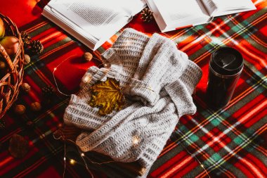 Termos sepetindeki sebzeler kırmızı arka plandaki sonbahar pikniğinde fındık kitapları. 