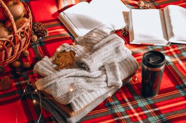 Termos sepetindeki sebzeler kırmızı arka plandaki sonbahar pikniğinde fındık kitapları. 