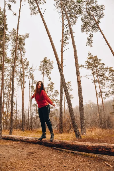 Menina Árvore Floresta Outono — Fotografia de Stock