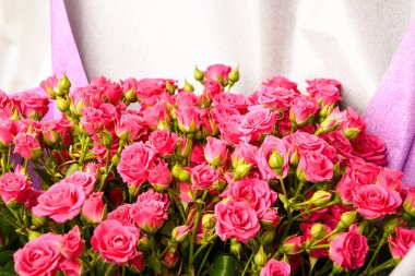 Bir buket pembe gül sunar çiçekler sevgililer günü bayramı sürprizi 