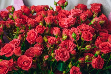 Bir buket pembe gül sunar çiçekler sevgililer günü bayramı sürprizi 