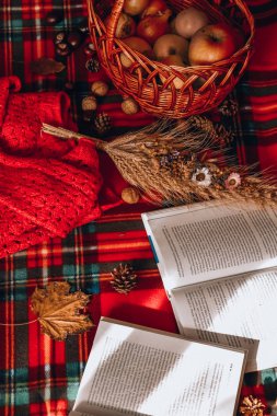 Zhytomyr Ukrayna - 20 Ekim 2019 edebiyat eğitimi bahar sonbahar piknik süveteri 