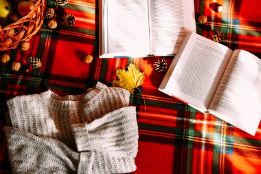 Zhytomyr Ukrayna - 20 Ekim 2019 edebiyat eğitimi bahar sonbahar piknik süveteri 