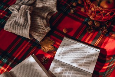 Zhytomyr Ukrayna - 20 Ekim 2019 edebiyat eğitimi bahar sonbahar piknik süveteri 