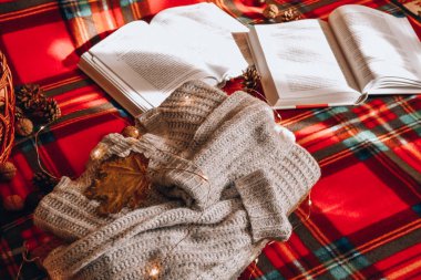 Zhytomyr Ukrayna - 20 Ekim 2019 edebiyat eğitimi bahar sonbahar piknik süveteri 