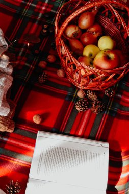 Zhytomyr Ukrayna - 20 Ekim 2019 edebiyat eğitimi bahar sonbahar piknik süveteri 