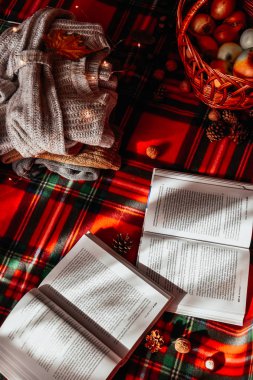 Zhytomyr Ukrayna - 20 Ekim 2019 edebiyat eğitimi bahar sonbahar piknik süveteri 