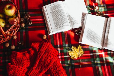 Zhytomyr Ukrayna - 20 Ekim 2019 edebiyat eğitimi bahar sonbahar piknik süveteri 