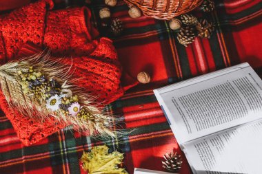 Zhytomyr Ukrayna - 20 Ekim 2019 edebiyat eğitimi bahar sonbahar piknik süveteri 