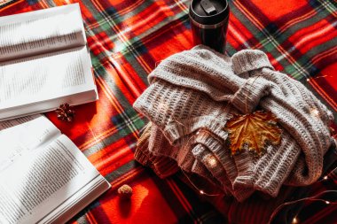 Zhytomyr Ukrayna - 20 Ekim 2019 edebiyat eğitimi bahar sonbahar piknik süveteri 