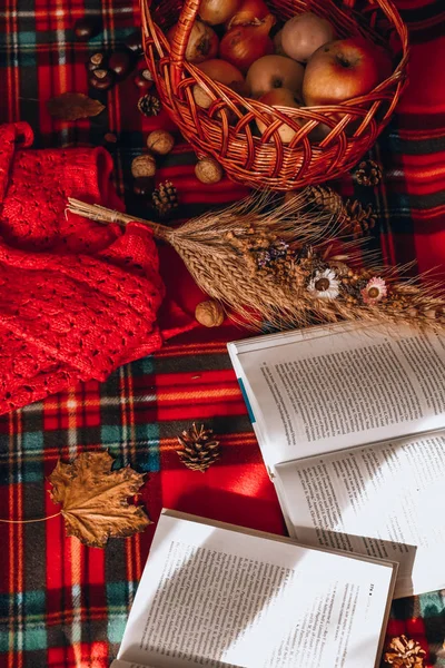 Zhytomyr Ukrayna - 20 Ekim 2019 edebiyat eğitimi bahar sonbahar piknik süveteri 