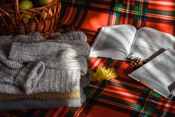 Zhytomyr Ukrayna - 20 Ekim 2019 edebiyat eğitimi bahar sonbahar piknik süveteri 