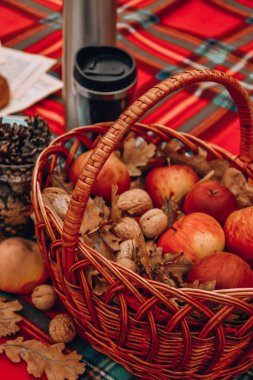 elmalı fındıklı piknik sepeti