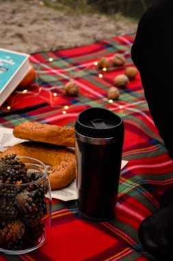 elmalı fındıklı piknik sepeti