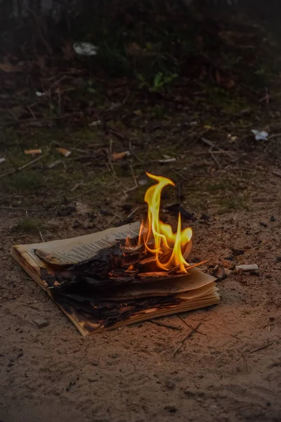 Livro Queima Fogo Chama Página Fogueira Acampamento Fogueira — Fotografia de Stock