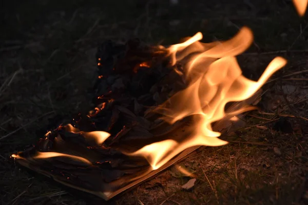 Livro Queima Fogo Chama Página Fogueira Acampamento Fogueira — Fotografia de Stock