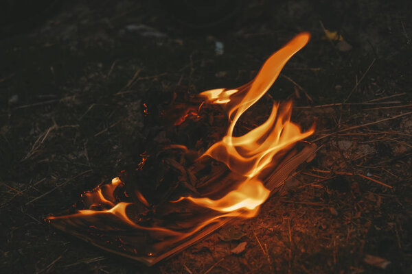 book burning fire flame page bonfire camping campfire 