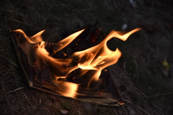 Book Burning Fire Flame Page Bonfire Camping Campfire — Stock Photo, Image