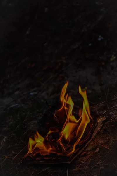 Buch Brennen Feuer Flamme Seite Lagerfeuer Lagerfeuer — Stockfoto