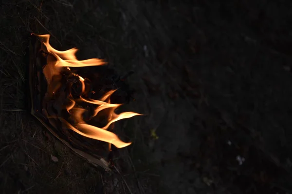 Libro Fuego Ardiente Llama Página Hoguera Camping Fogata — Foto de Stock