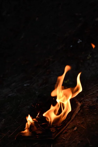 Livro Queima Fogo Chama Página Fogueira Acampamento Fogueira — Fotografia de Stock