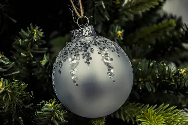 Christbaumkugelschmuck Auf Dem Ast — Stockfoto