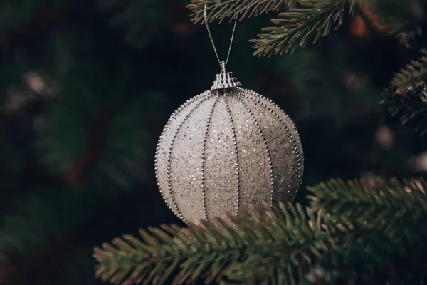 Decoração Bola Árvore Natal Ramo — Fotografia de Stock