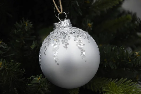 Kerstboom Bal Decoratie Tak — Stockfoto